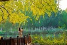 91麻豆剧场-探索91麻豆剧场的多元化艺术魅力