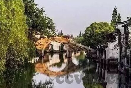 91麻豆糖心-91麻豆糖心的多彩世界，甜蜜与纯真的交织