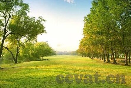 91人妻福利精品-91人妻福利精品，解锁生活小确幸的温馨角落