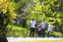 96人妻-96人妻，传统与现代的交织