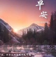 成人高清视频免费观看-成人高清视频的合法性与道德考量