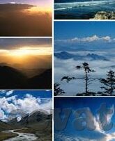 大象传媒app官网下载ios-探索大象传媒App，iOS平台的创新娱乐新选择