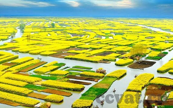 国产亚洲视频中文字幕-国产亚洲视频中文字幕，文化交流的新桥梁