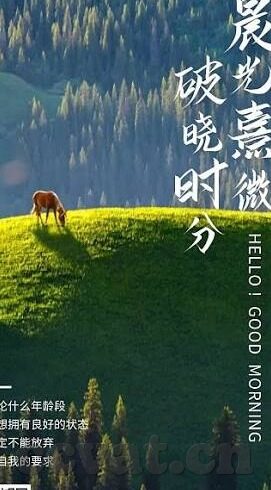 麻豆 av 在线-麻豆 AV 在线，网络文化的双刃剑