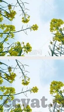 麻豆精品传媒av-麻豆精品传媒，文化新视角下的艺术与表达