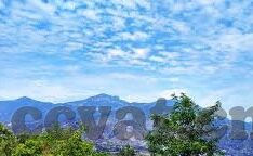 model麻豆传媒app-揭秘网络流媒体新宠，Model麻豆传媒APP的兴起与反思