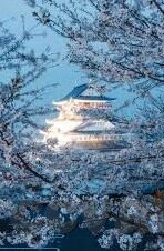 日韩av印度av意大利av-探索成人内容市场的多元化，日韩、印度与意大利AV的独特魅力