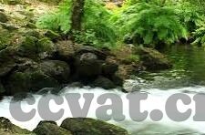 糖心vlog网站邀请码-掌握糖心Vlog新世界，一探究竟